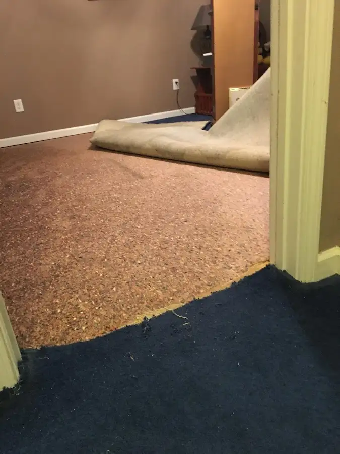 Carpet pad removal revealing water damage during Drying & Dehumidification in Boxborough